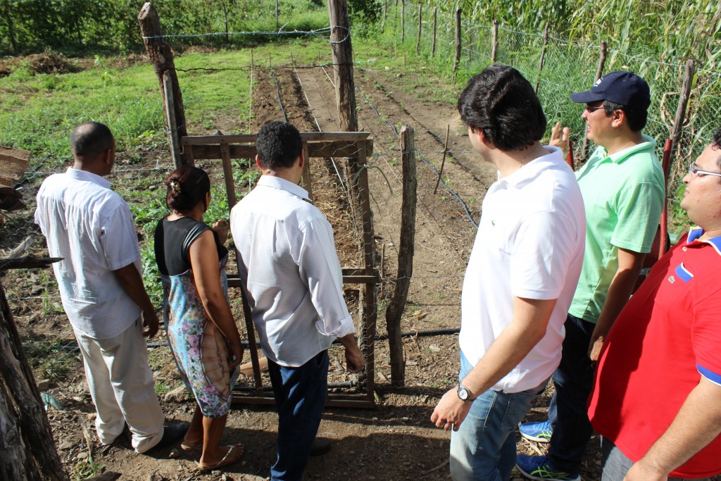 Produção irrigada por meio de gotejamento com água de reúso