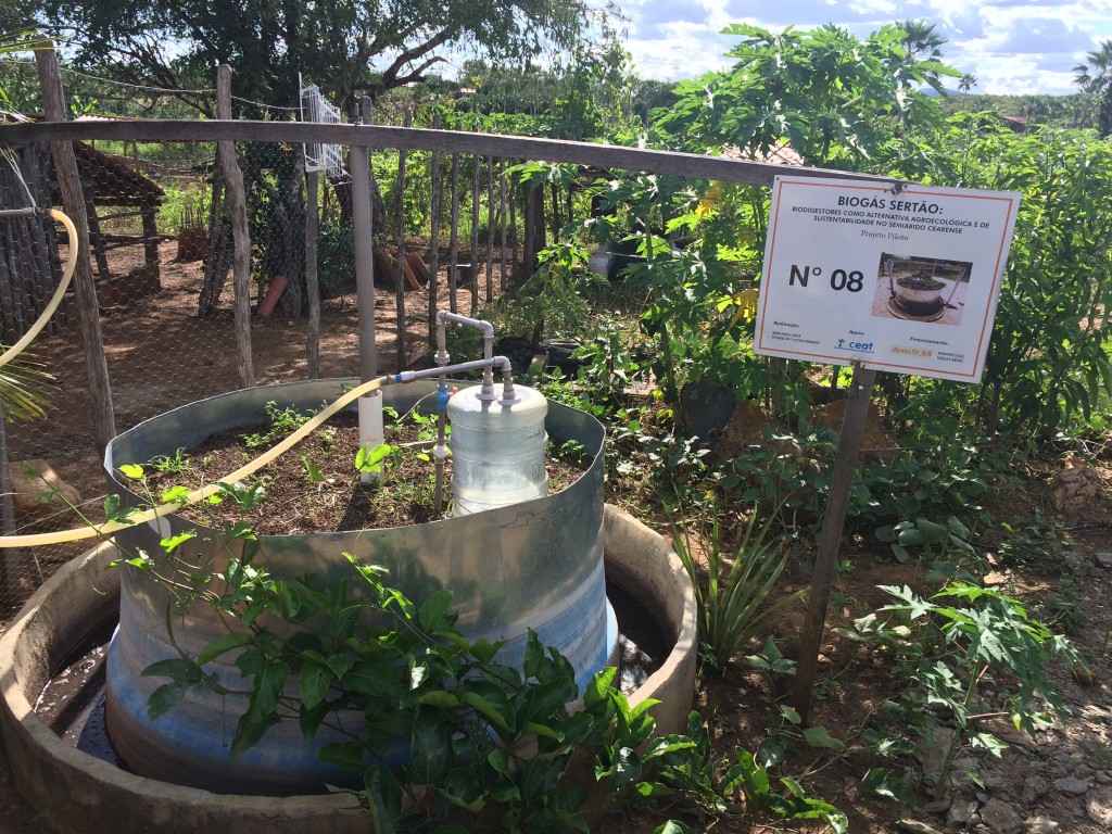 Biodigestor utiliza fezes de animais e outras matérias orgânicas para a produção de biogás